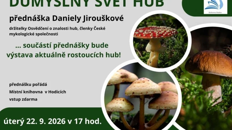 Důmyslný svět hub