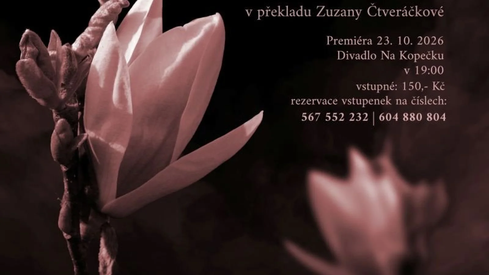Ocelové magnolie – Divadlo, Jihlava