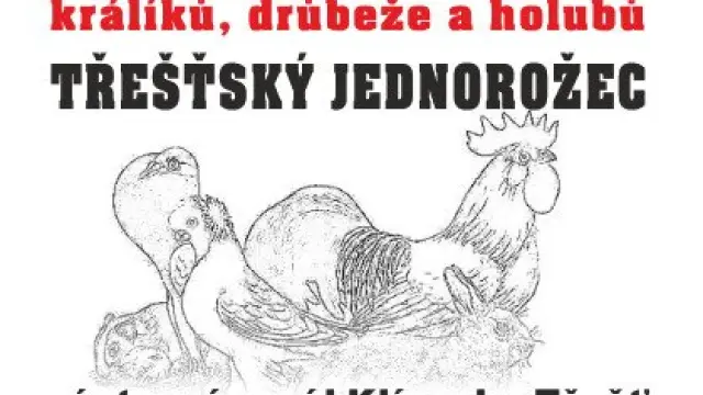 Výstava králíků, drůbeže a holubů Třešťský jednorožec – Výstava, Třešť