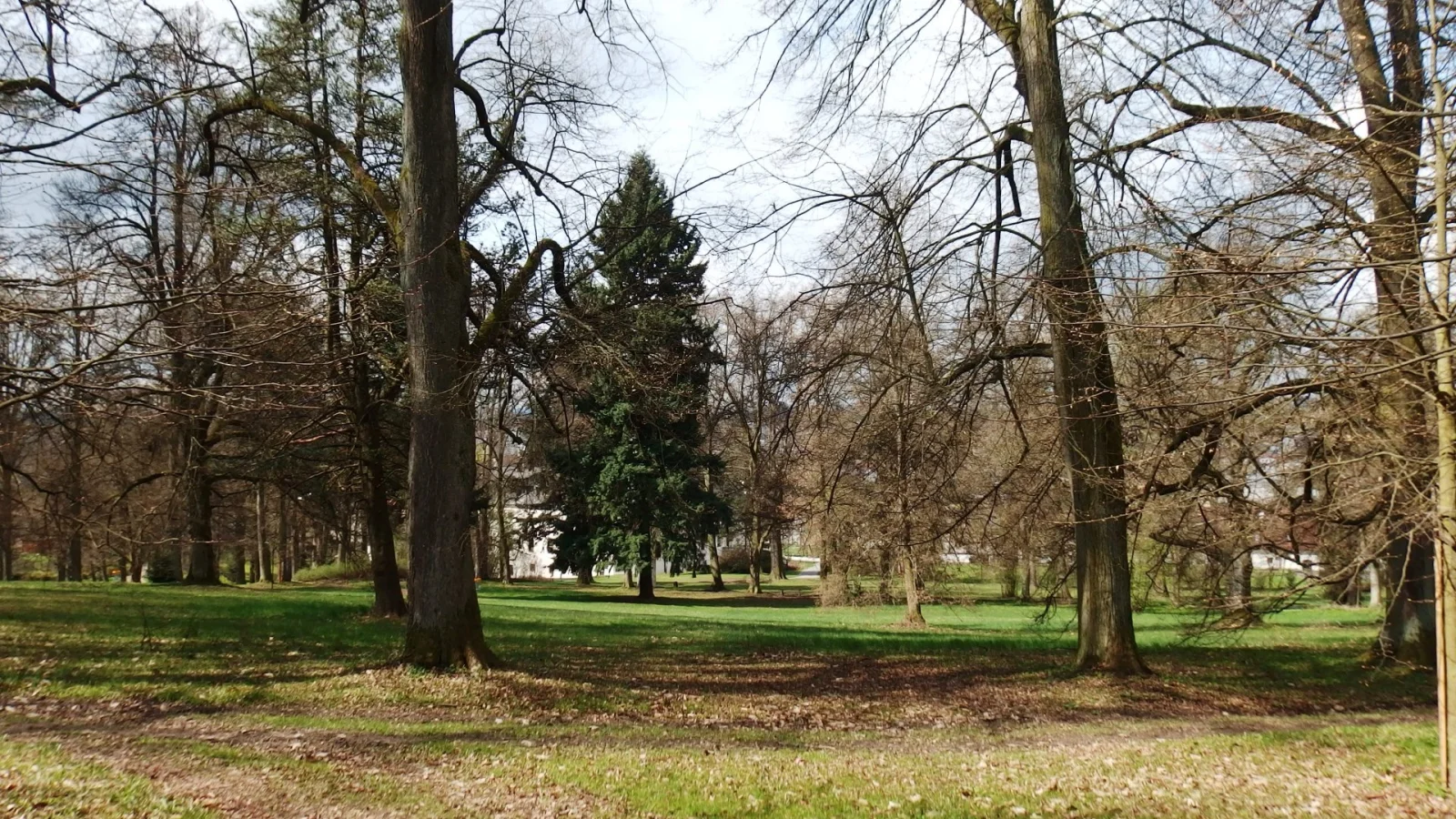 Zámecký park Třešť – Park, Třešť
