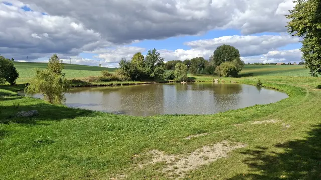 Nádrž Bačkora – Park, Třešť